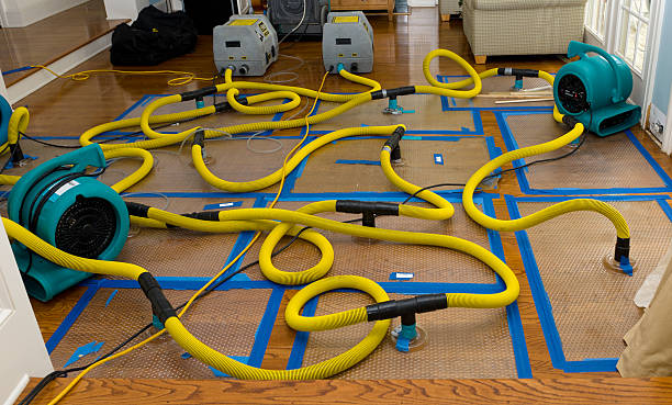 Professional Flood Damage Restoration technician working in Sabina, OH